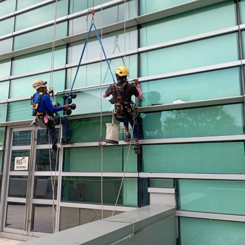 whatsapp image 2026 02 26 at 11.54.57 am